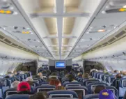 DomesticFlight