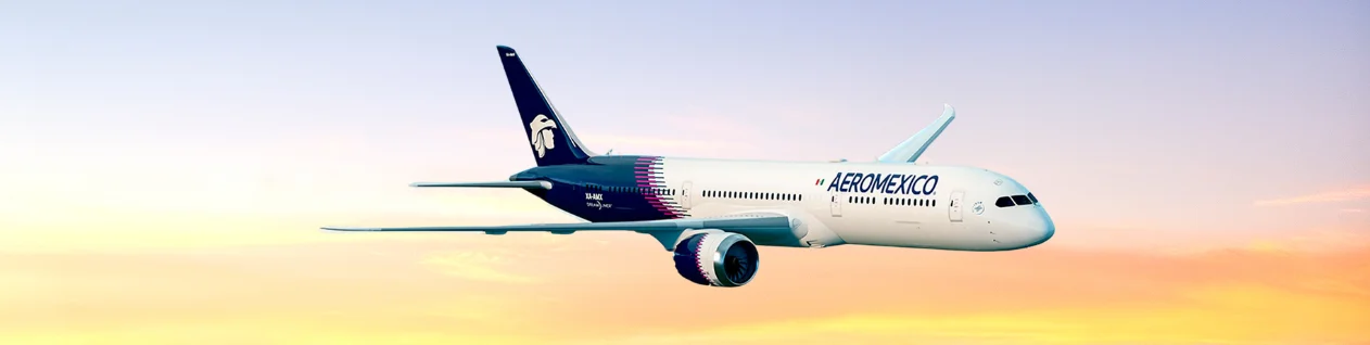 Aeromexico Airlines