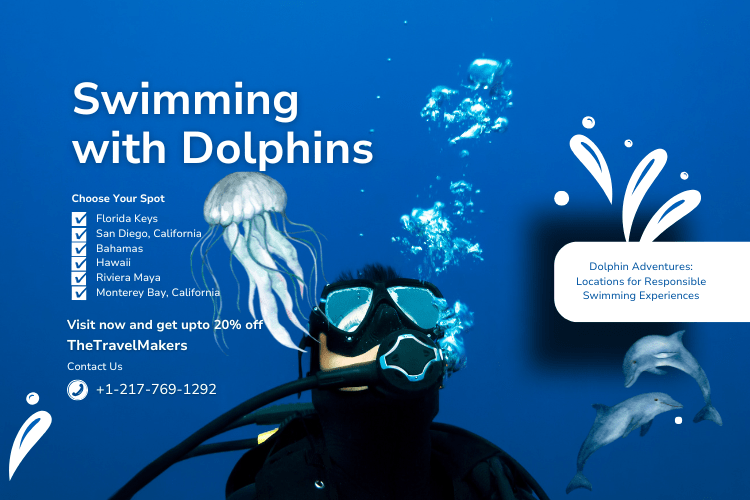 Dolphin-Swimming